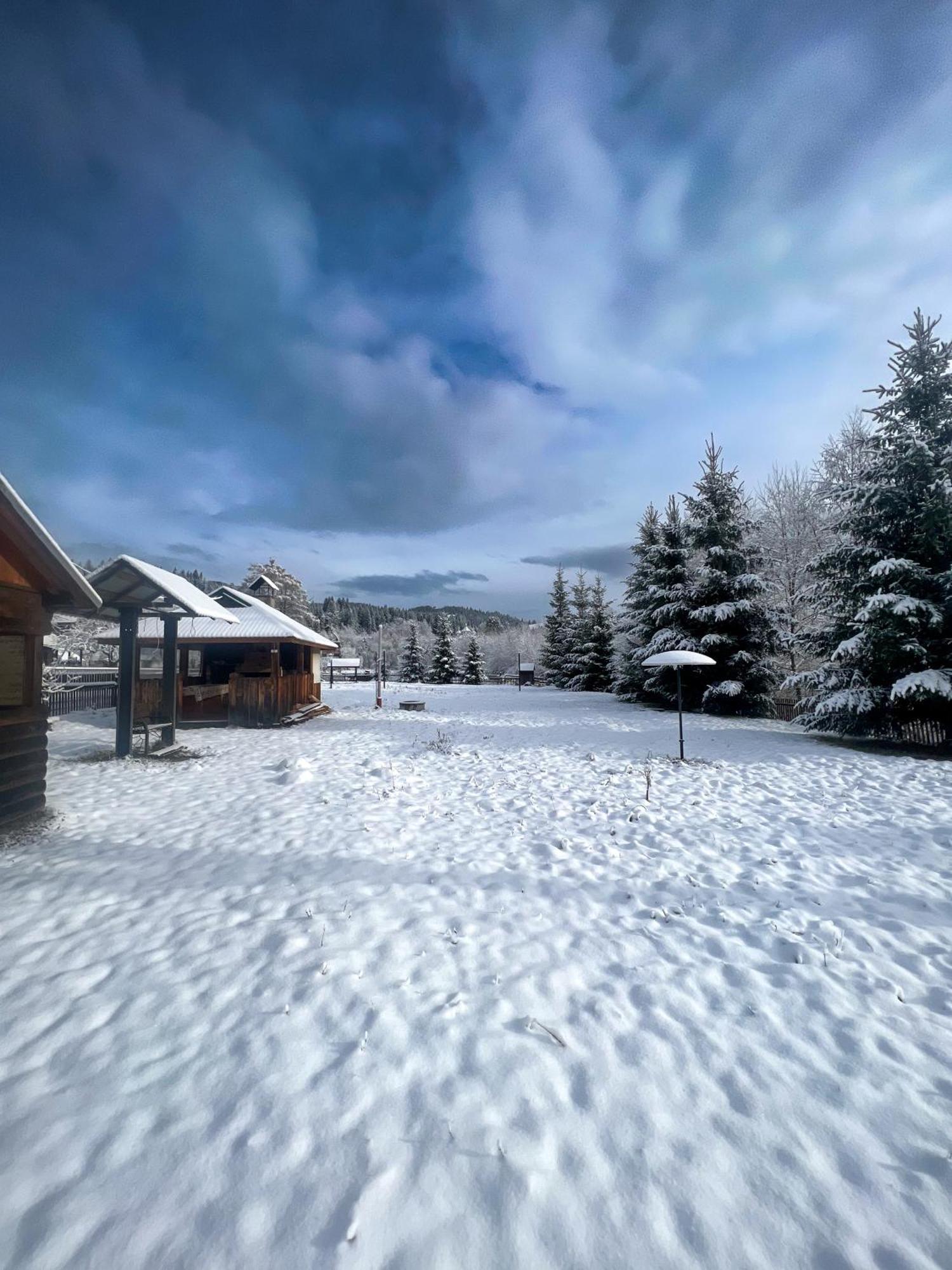 Котедж Шум Черемоша На Березі Річки Verkhovyna Exterior foto